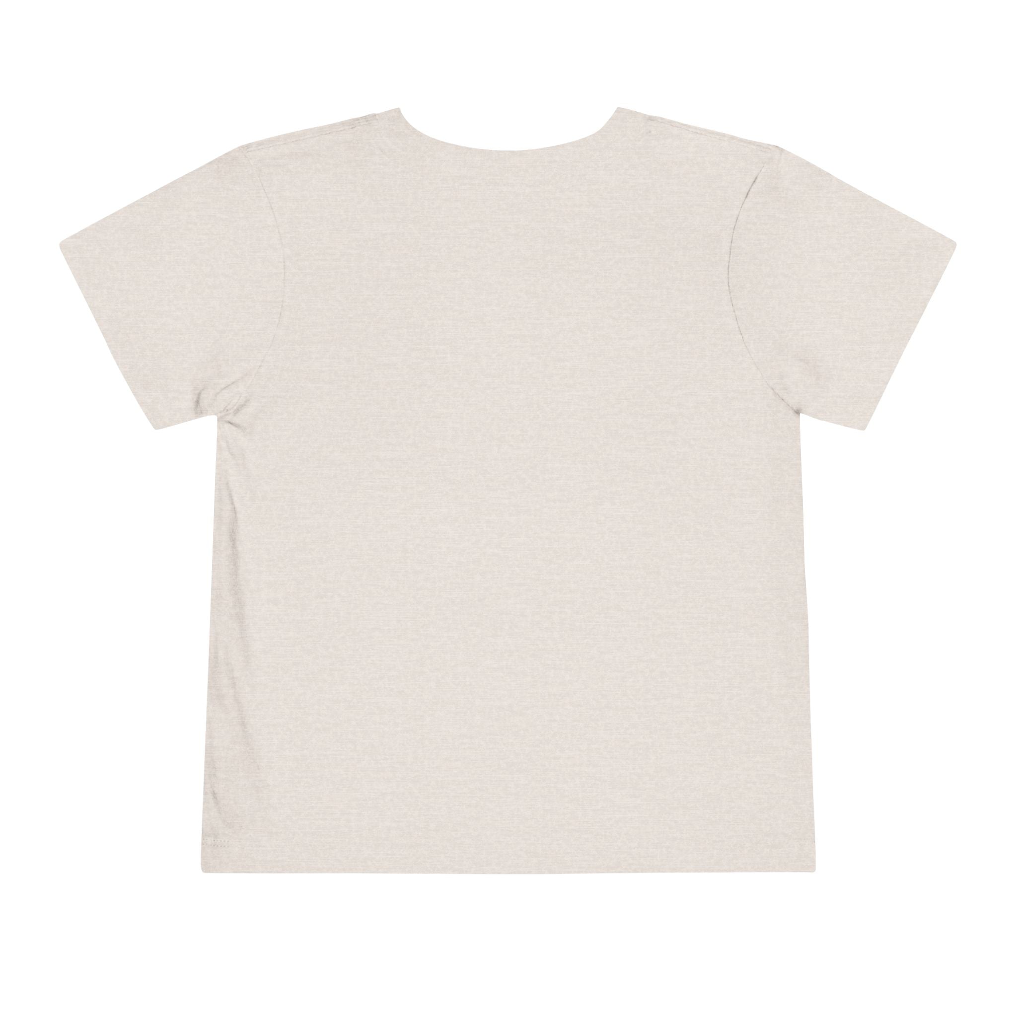 Bouncer Plane Toddler Tee — 'Chirp Chirp' Vintage Airplane Kids Shirt