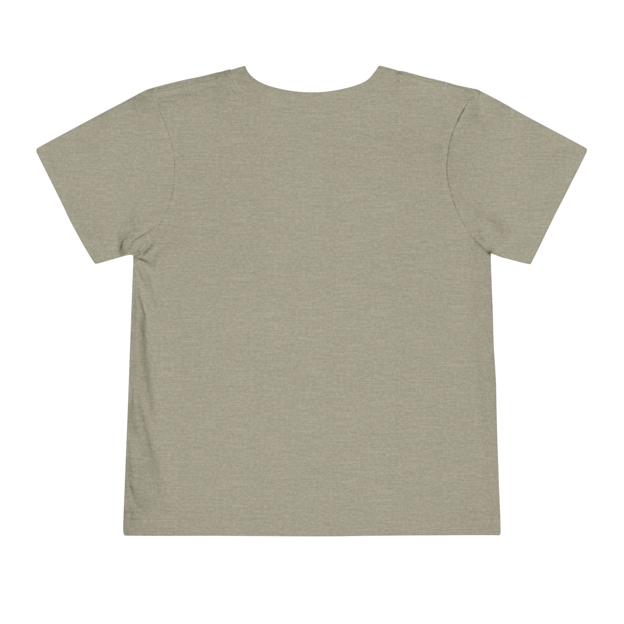 Bouncer Plane Toddler Tee — 'Chirp Chirp' Vintage Airplane Kids Shirt