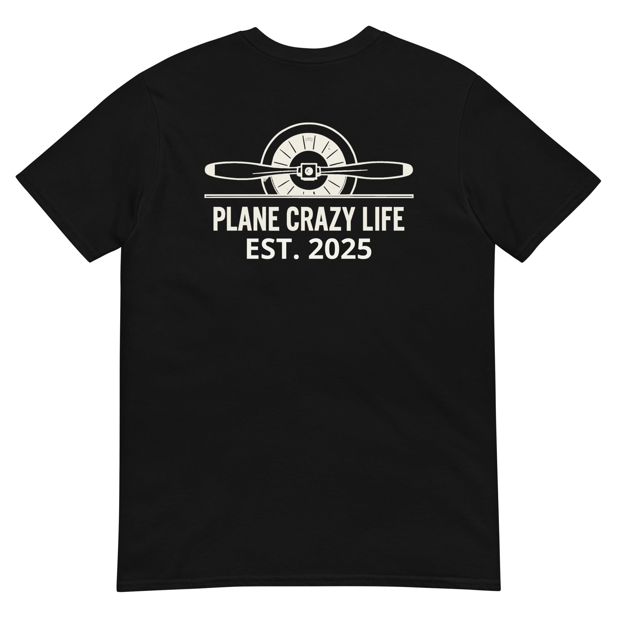 Plane Crazy Life