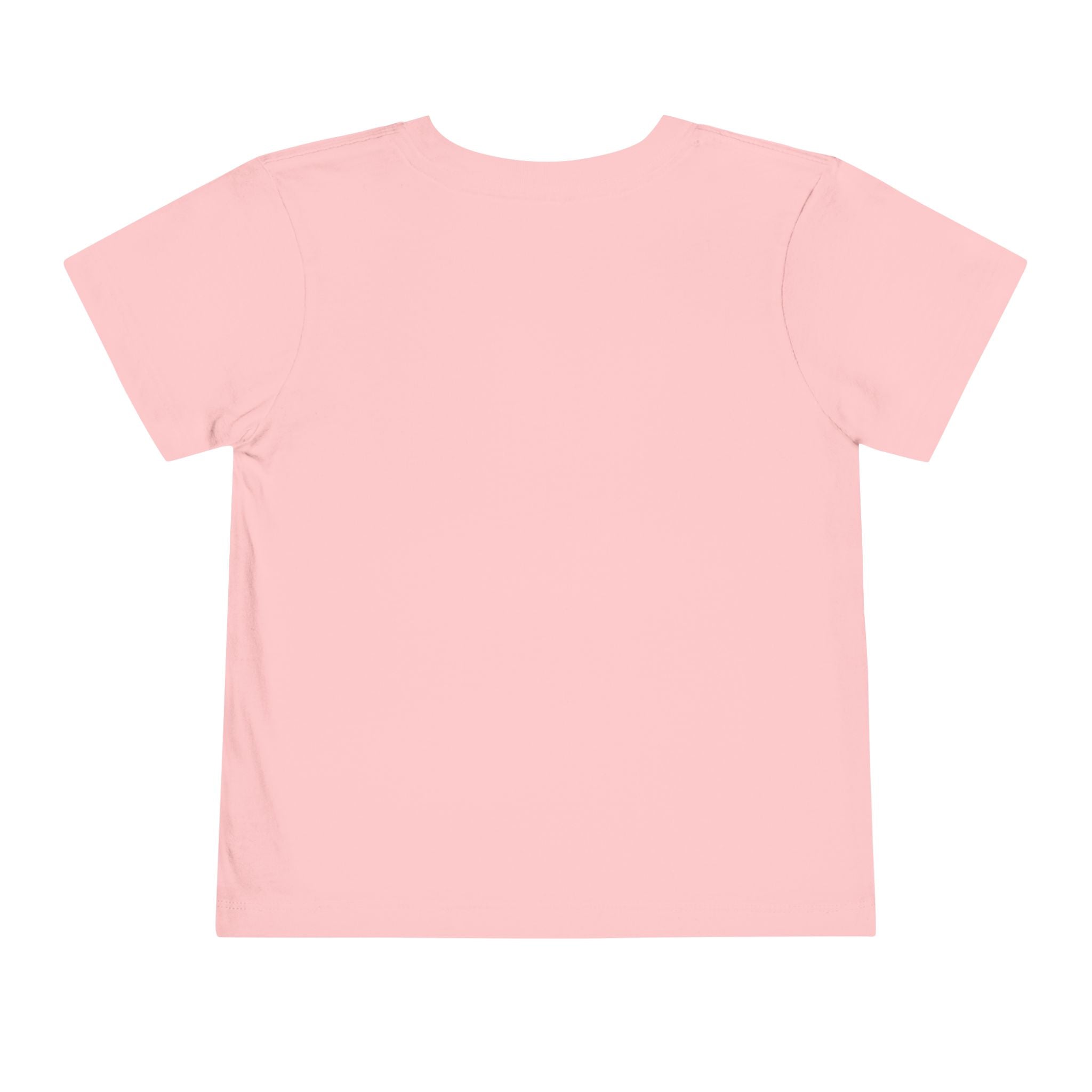 Bouncer Plane Toddler Tee — 'Chirp Chirp' Vintage Airplane Kids Shirt