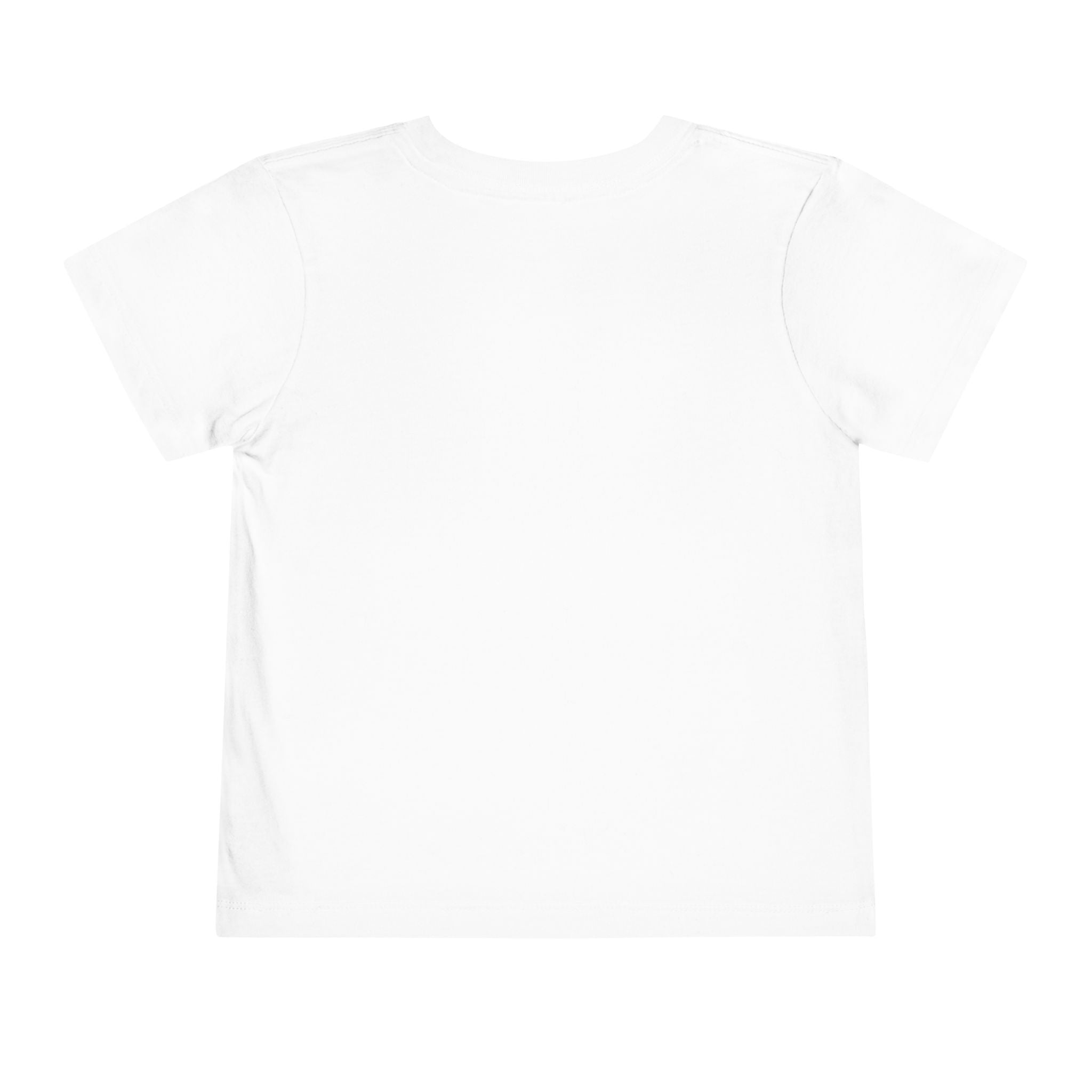 Bouncer Plane Toddler Tee — 'Chirp Chirp' Vintage Airplane Kids Shirt